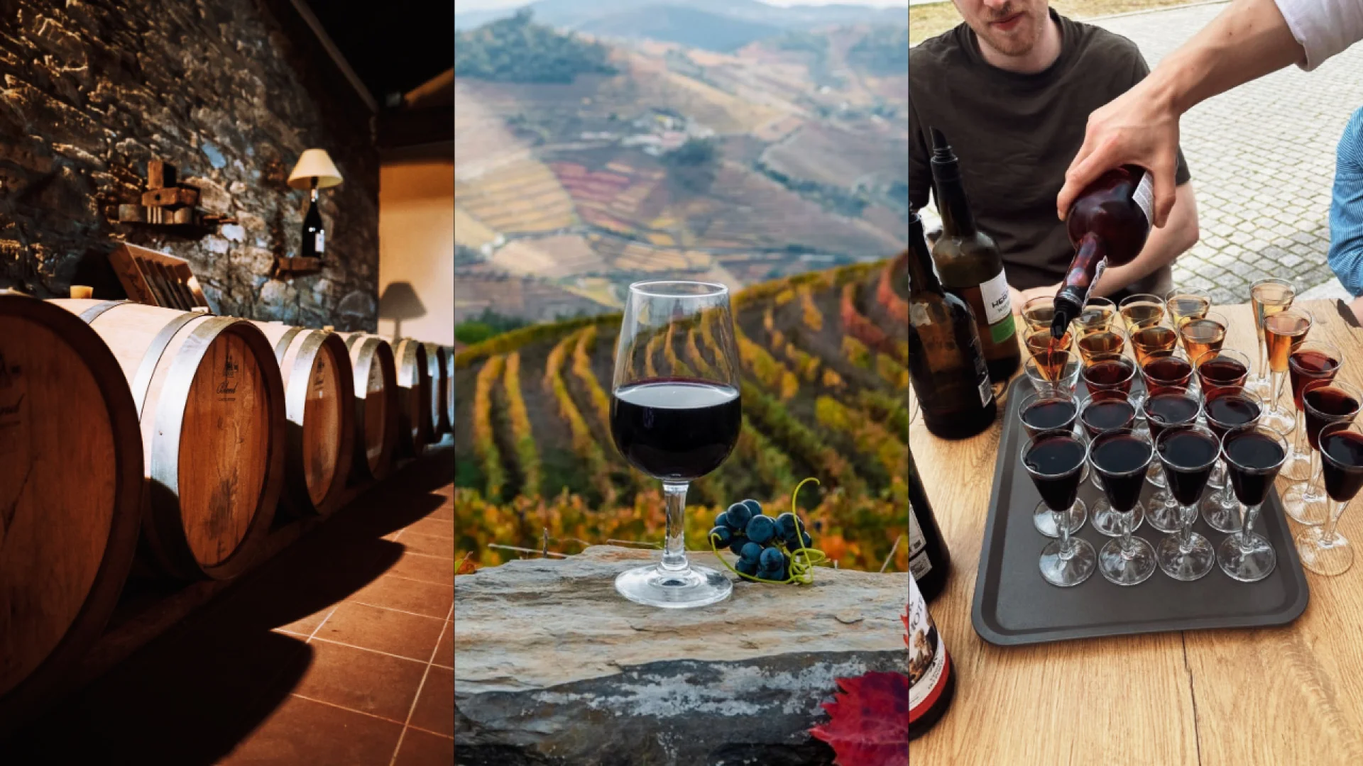 8H- Douro Valley, wine testing and lunch Tour/Private
